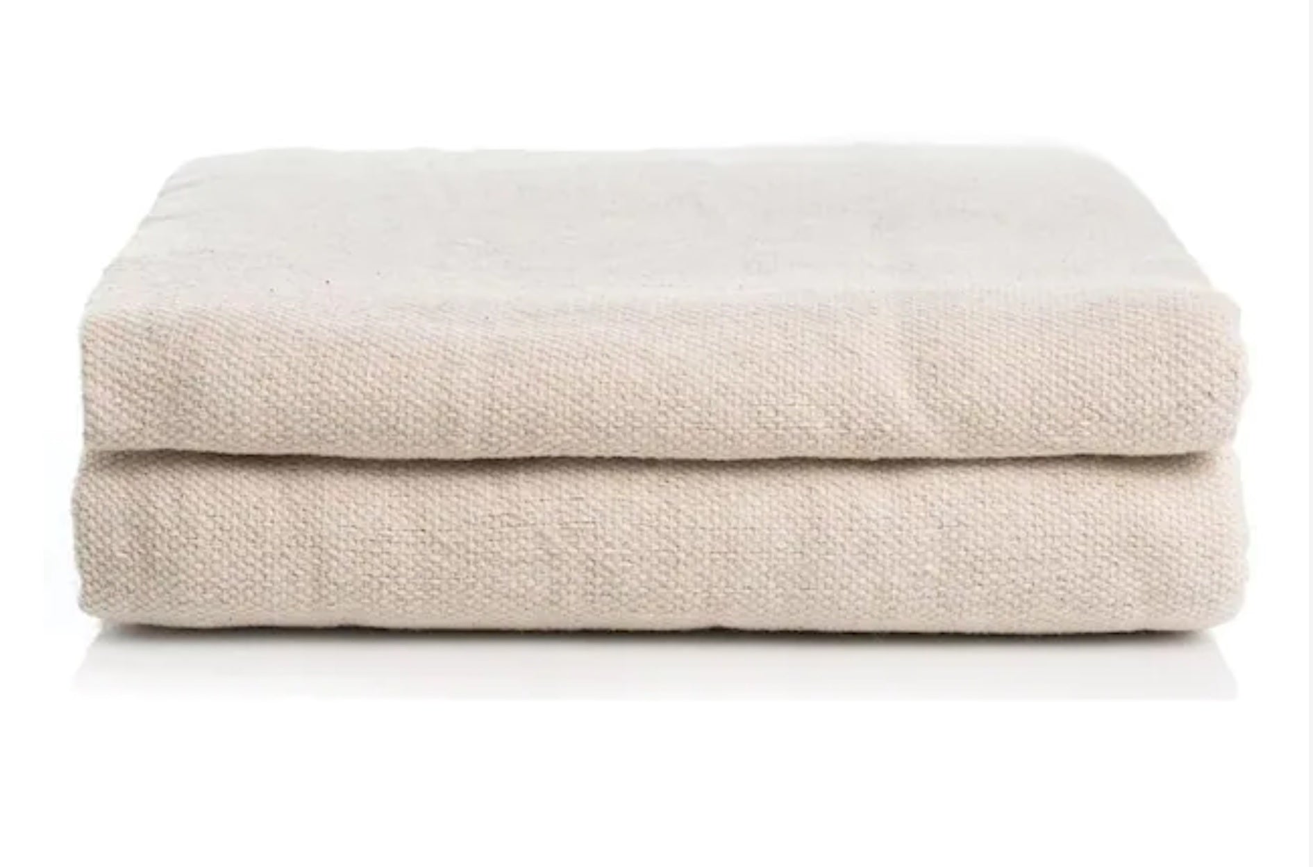 Canvas Drop-Cloth (9' x 12')